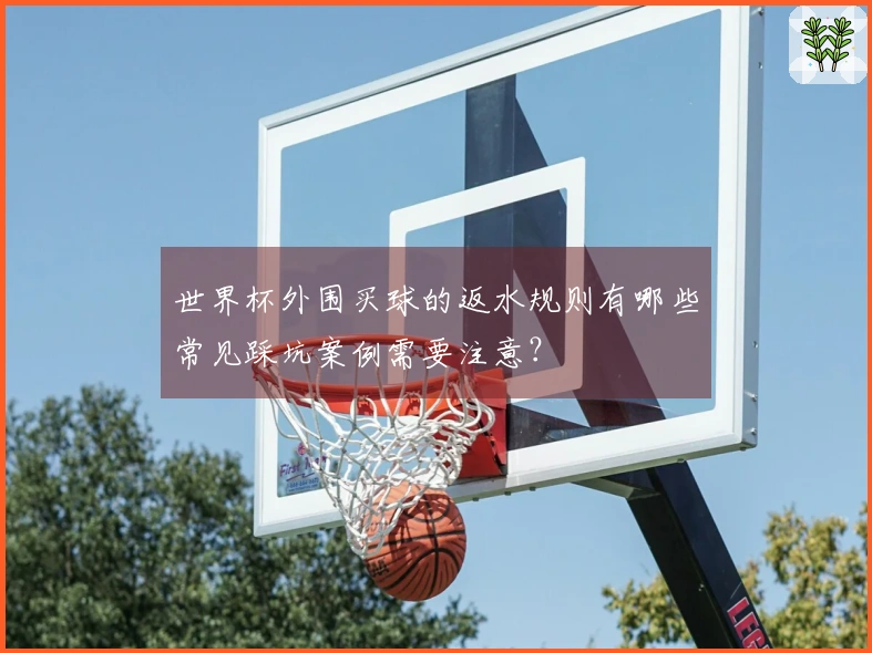 世界杯外围买球的返水规则有哪些常见踩坑案例需要注意？
