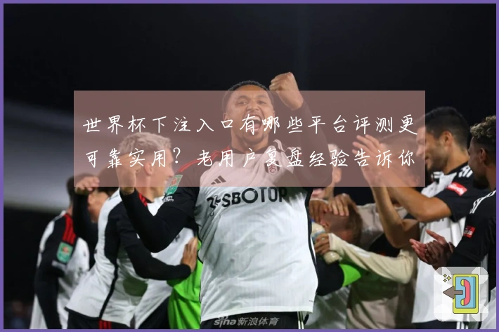 世界杯下注入口有哪些平台评测更可靠实用？老用户复盘经验告诉你如何避坑