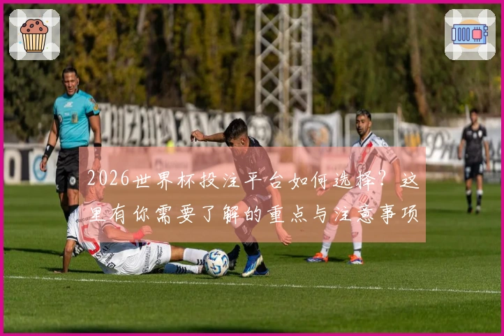 2026世界杯投注平台如何选择？这里有你需要了解的重点与注意事项