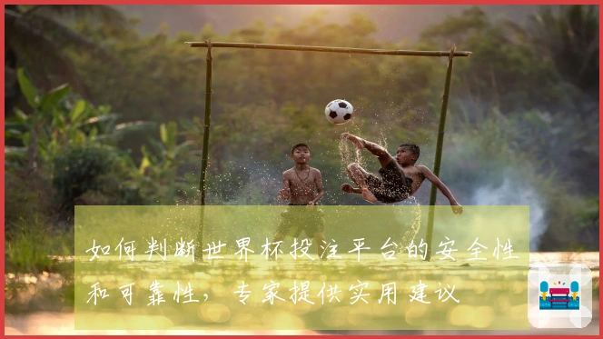 如何判断世界杯投注平台的安全性和可靠性，专家提供实用建议