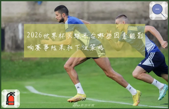 2026世界杯买球平台哪些因素能影响赛事结果和下注策略