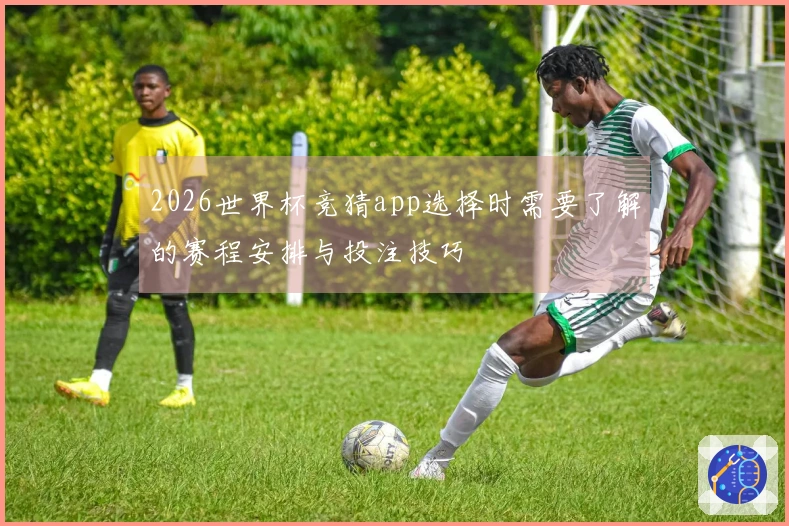 2026世界杯竞猜app选择时需要了解的赛程安排与投注技巧
