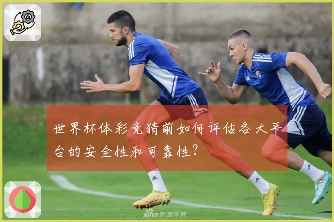世界杯体彩竞猜前如何评估各大平台的安全性和可靠性？