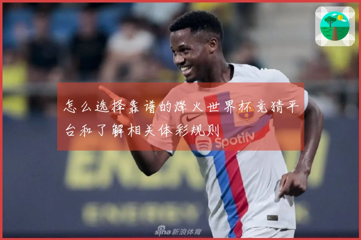 怎么选择靠谱的烽火世界杯竞猜平台和了解相关体彩规则