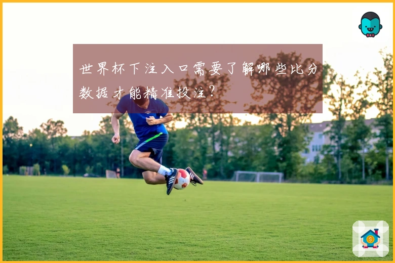 世界杯下注入口需要了解哪些比分数据才能精准投注？