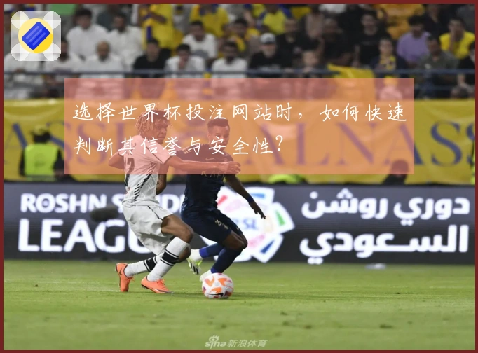 选择世界杯投注网站时，如何快速判断其信誉与安全性？