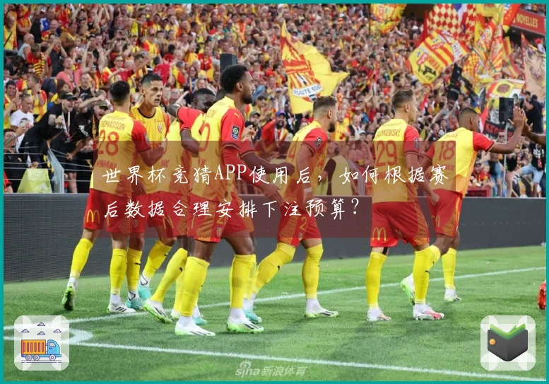 世界杯竞猜APP使用后，如何根据赛后数据合理安排下注预算？