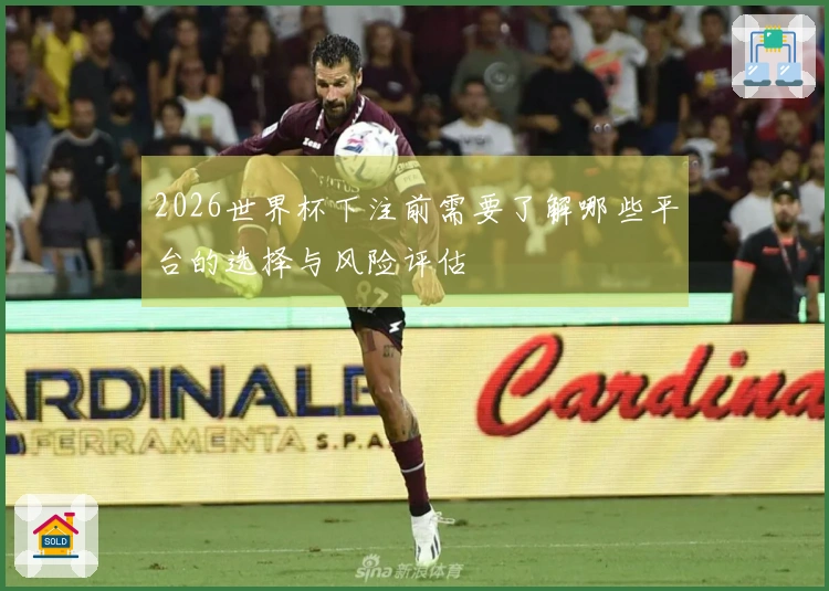 2026世界杯下注前需要了解哪些平台的选择与风险评估