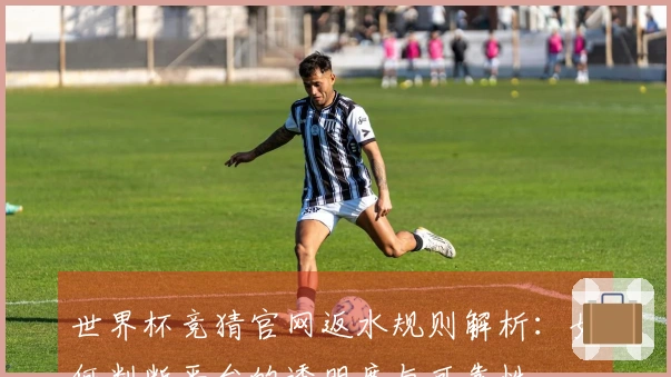 世界杯竞猜官网返水规则解析：如何判断平台的透明度与可靠性