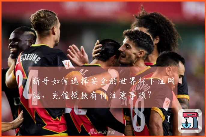 新手如何选择安全的世界杯下注网站，充值提款有何注意事项？