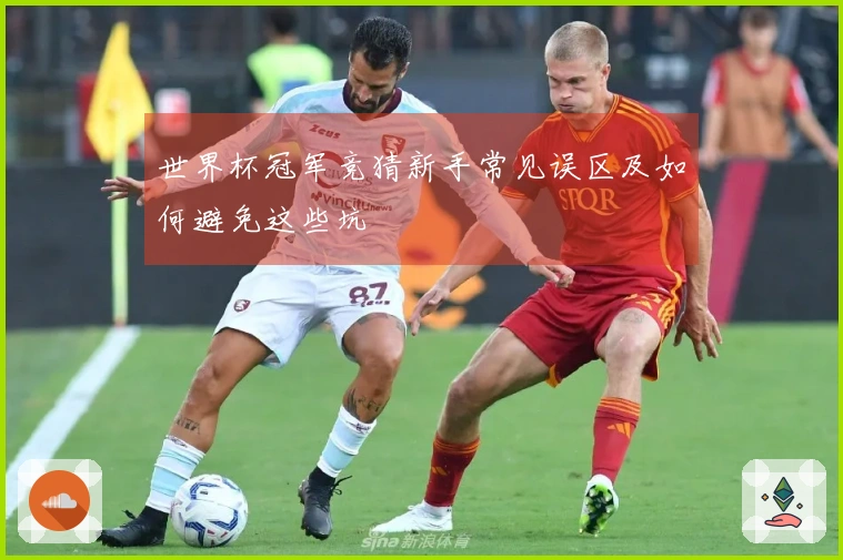 世界杯冠军竞猜新手常见误区及如何避免这些坑