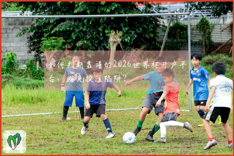 如何判断靠谱的2026世界杯开户平台，避免投注陷阱？