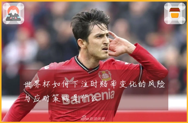 世界杯如何下注时赔率变化的风险与应对策略是什么