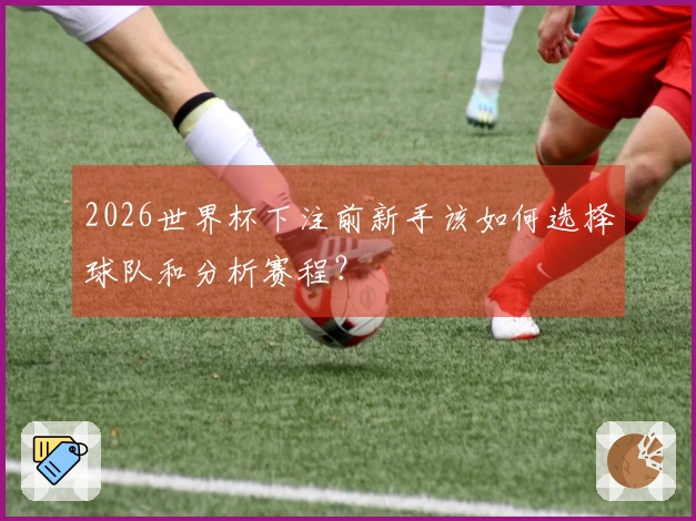 2026世界杯下注前新手该如何选择球队和分析赛程？