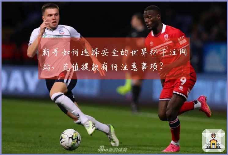 新手如何选择安全的世界杯下注网站，充值提款有何注意事项？