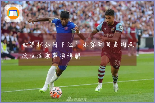 世界杯如何下注？比赛时间查询及投注注意事项详解
