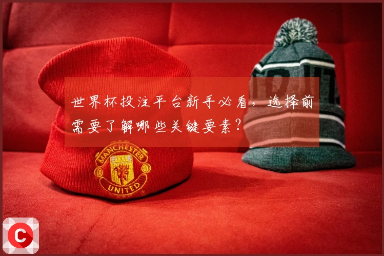 世界杯投注平台新手必看，选择前需要了解哪些关键要素？