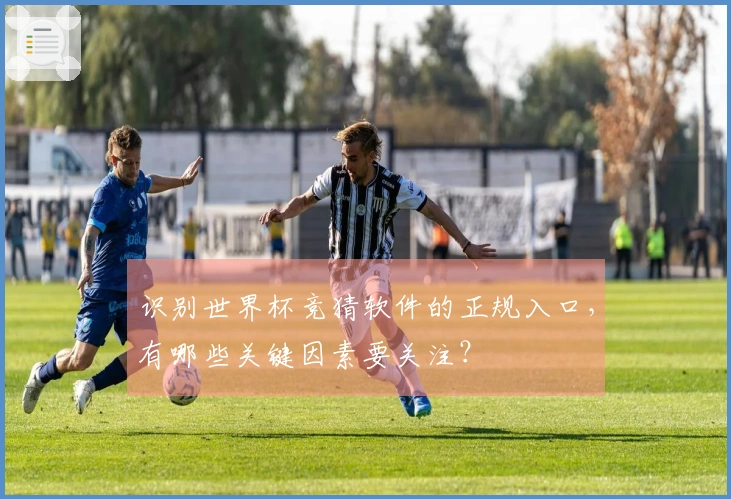 识别世界杯竞猜软件的正规入口，有哪些关键因素要关注？