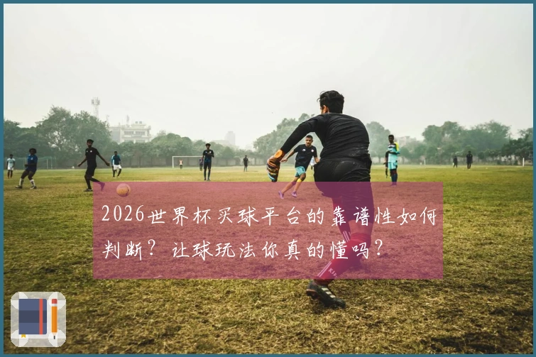 2026世界杯买球平台的靠谱性如何判断？让球玩法你真的懂吗？