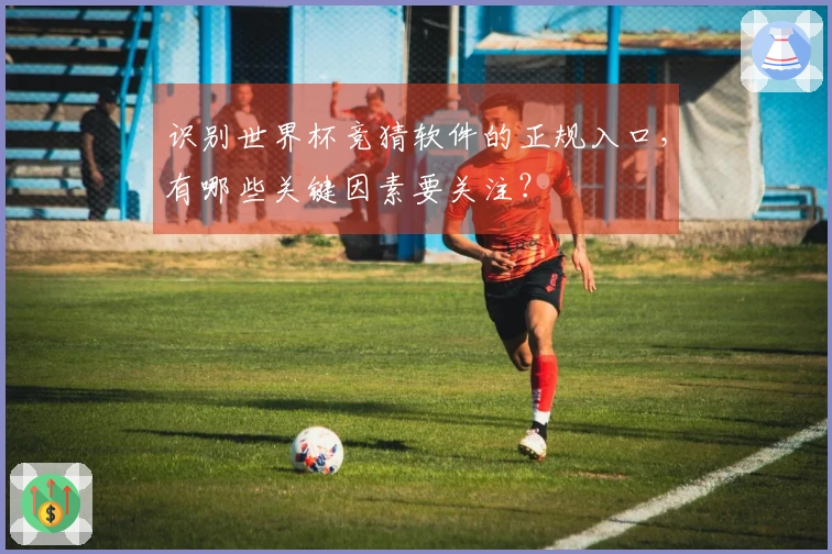 识别世界杯竞猜软件的正规入口，有哪些关键因素要关注？